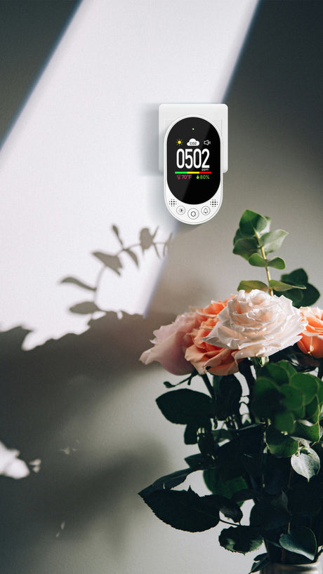 How to Calibrate a Carbon Dioxide (CO₂) Monitor