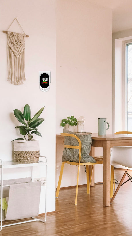 Dual-Sensitivity Carbon Monoxide and Combustible Gas Detector
