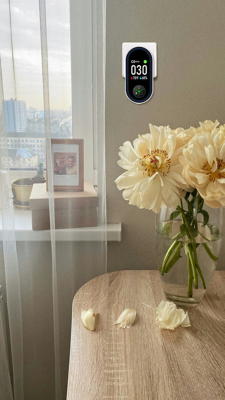 Lsenlty Carbon Monoxide Detector Plug in Wall