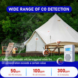 LSENLTY Carbon Monoxide Detector