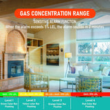 LSENLTY Carbon Monoxide and Gas Detectors with HD Screen Display-PTH-24E