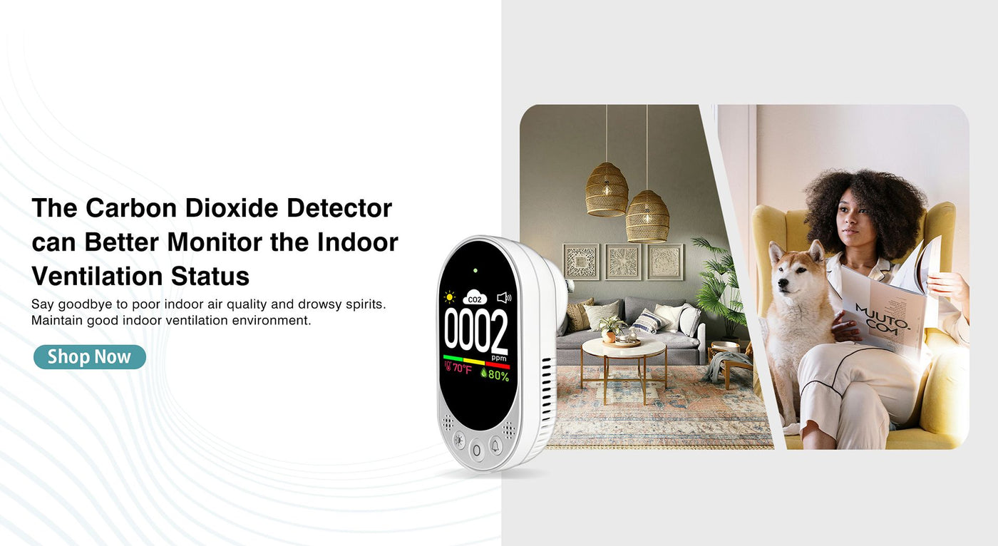 Carbon dioxide detector with lifestyle images of a woman and dog in a living room.