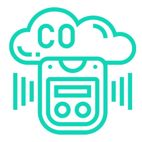 LSENLTY CO Detector LOGO
 with a cloud and text on a white background